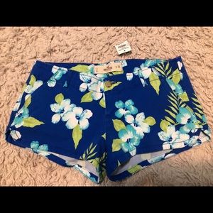 Women's Hollister Shorts SZ 3 NWT